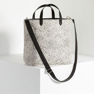 Window Shopper Ltd Dainty Speckles Thirty One